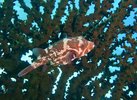 IMG_6470.jpeg
