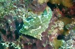 IMG_6409.jpeg