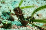 IMG_6386.jpeg