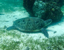 IMG_6330.jpeg