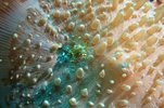 IMG_6267.jpeg