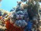 IMG_6253.jpeg