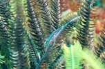 IMG_6240.jpeg