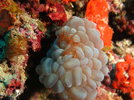 IMG_6215.jpeg