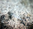 DSC02620a.JPG