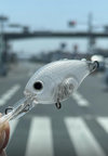 IMG_3806.jpeg