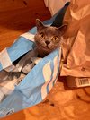 IMG_0859.jpeg