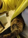 IMG_20250325_202235.jpg