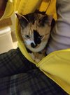 IMG_20250325_202244.jpg