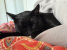 IMG_2099.jpeg