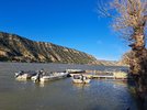 20250329_080747.jpg