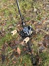IMG_0190.jpeg
