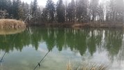 IMG-20250330-WA0011.jpeg