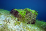 DSC02706a.JPG