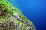DSC02764a.JPG
