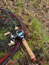 PXL_20250401_120735569.jpg