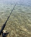 IMG_6873.jpeg