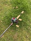 IMG_1413.jpeg