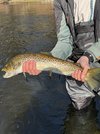 IMG_7691.jpeg