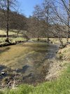 IMG_2082.jpeg