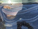 IMG_20250405_115236.jpg