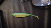 IMG_20250324_225035.jpg