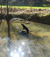 IMG_20250406_133618.jpg