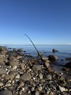 IMG_1404.jpeg