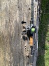 IMG_1278.jpeg