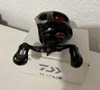 IMG_2761.jpeg
