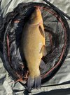 IMG_2467.jpeg