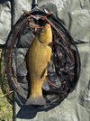 IMG_2482.jpeg