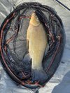 IMG_2573.jpeg