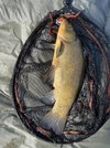 IMG_2574.jpeg
