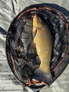 IMG_2588.jpeg