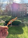 IMG_0005.jpeg