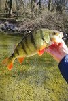 IMG_20250408_153018.jpg