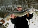 esox_auf_schnee.jpg