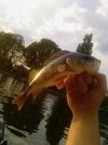 1_195.jpg