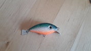 20160501_162813.jpg