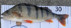 20250410_B36.jpg