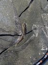IMG_1463.jpeg