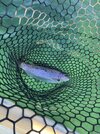 IMG_6893.jpeg