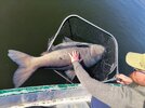 IMG_20250412_163103.jpg