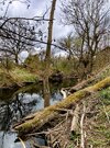 IMG_20250413_130834~2.jpg