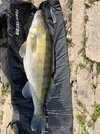 IMG_2782.jpg