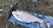 IMG_20250324_214551.jpg