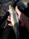 20250416_162641.jpg