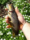 20250414_160330.jpg