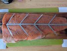 PXL_20250418_090814194.jpg